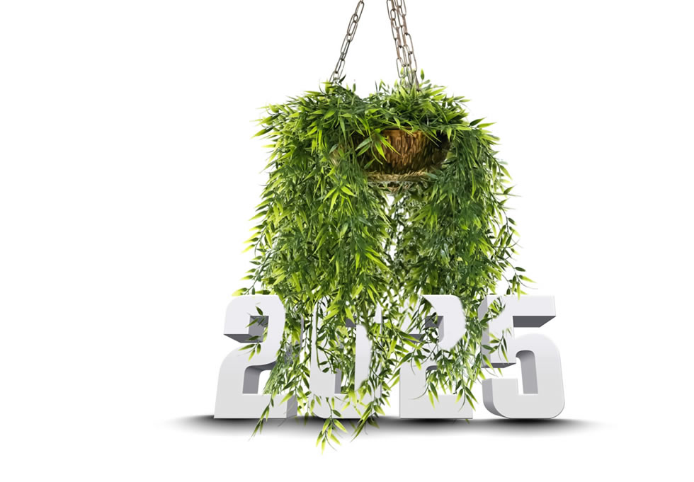 Image 2025 en 3D avec les plantes