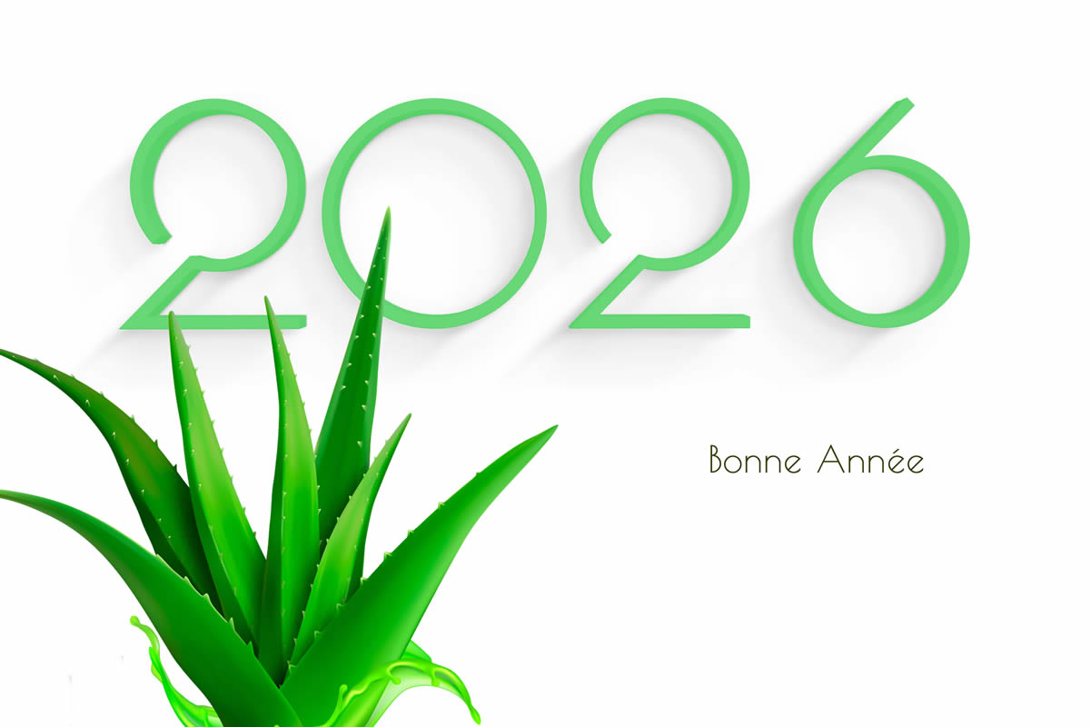 Image 2026 avec plante d'aloès