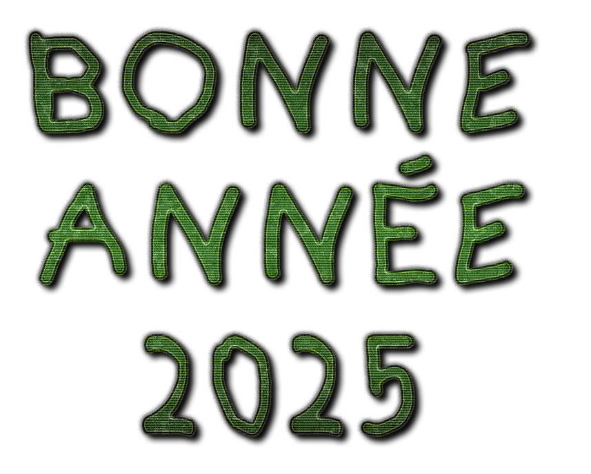 Image Texte 2025 effet herbe verte