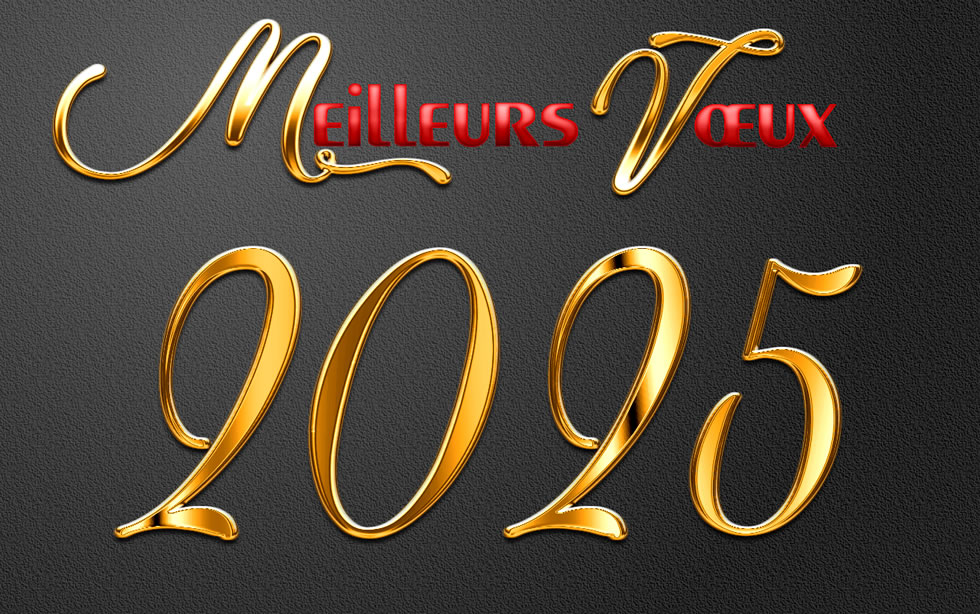 Image elegant Meilleurs voeux 2025