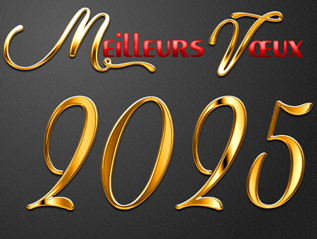 carte de voeux 2025 or, rouge et noir