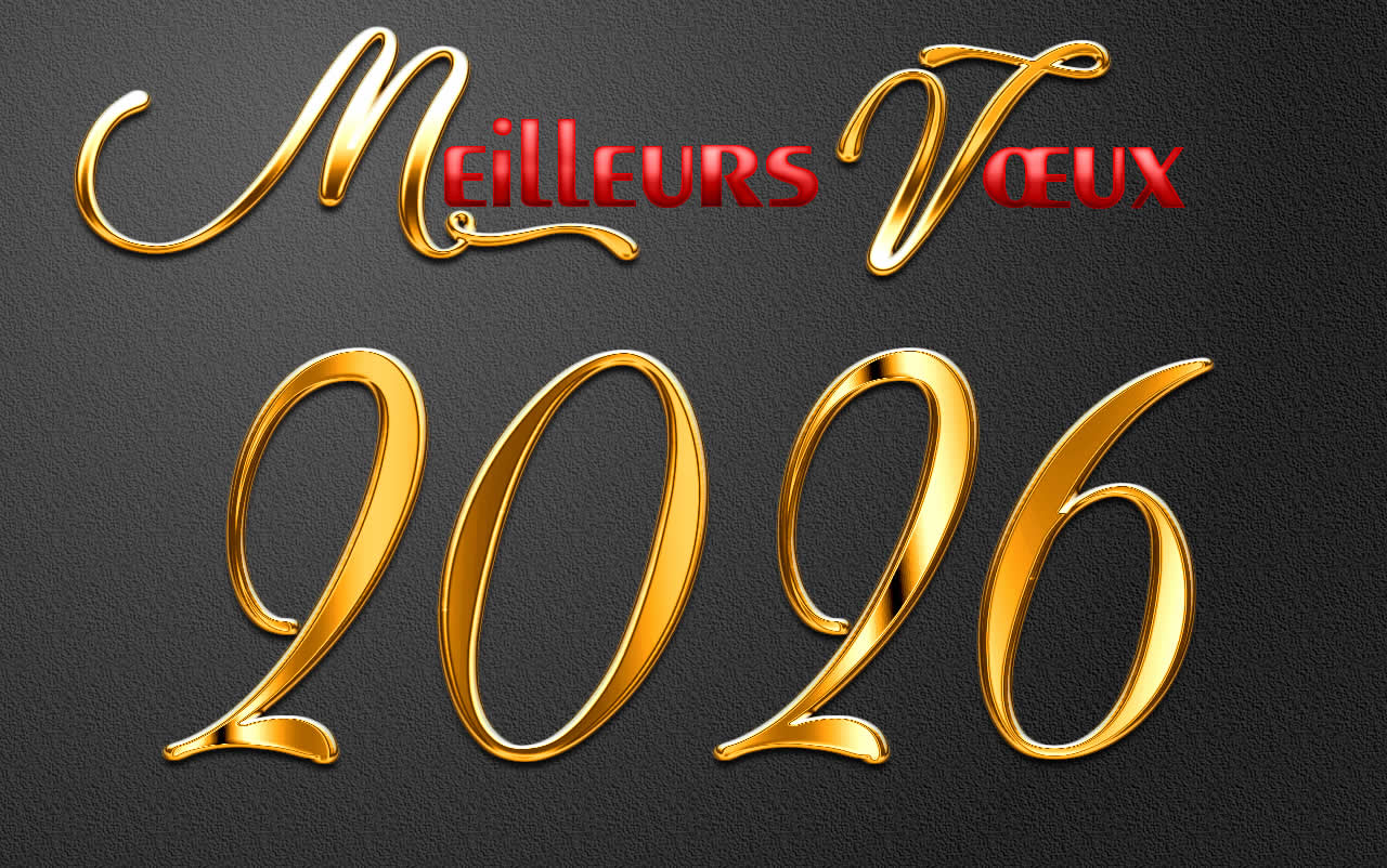 Image elegant Meilleurs voeux 2026