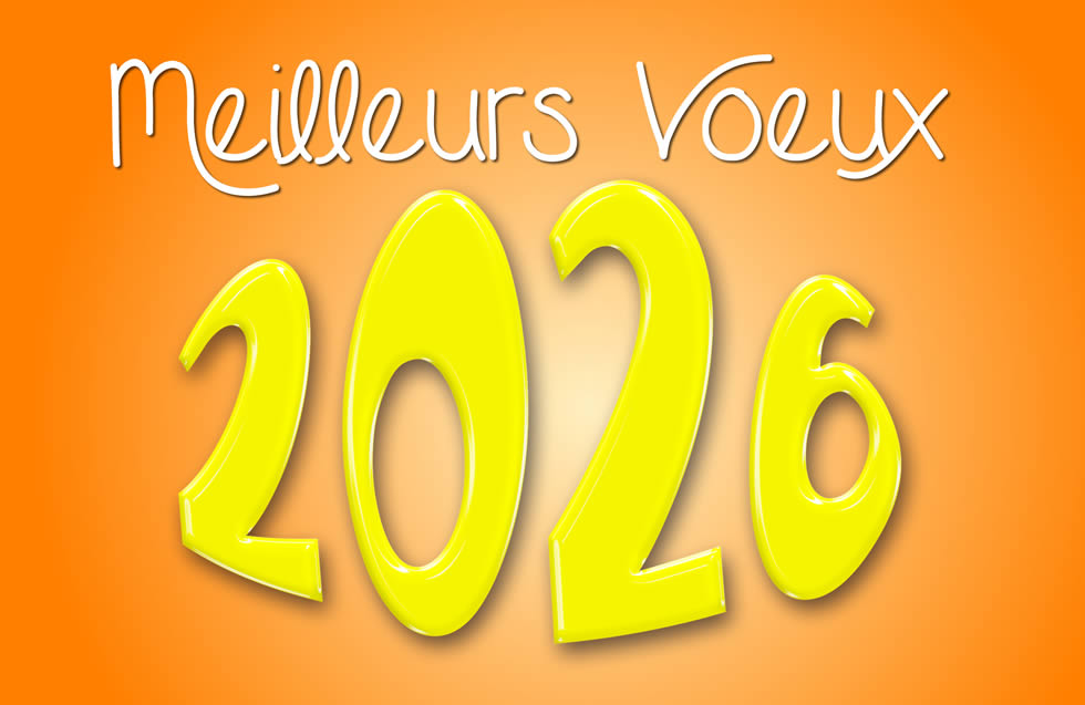 Image Meilleurs voeux jaune orange
