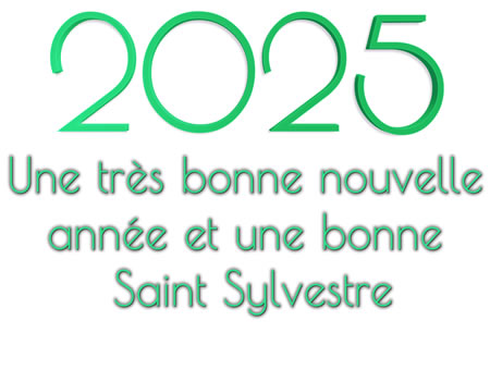 photo toast à la nouvelle année 