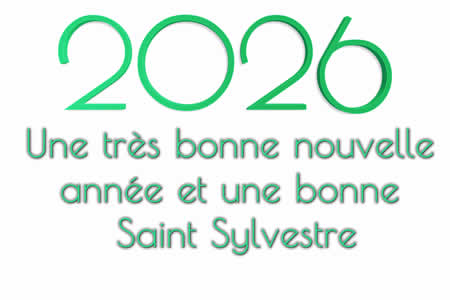 photo toast à la nouvelle année 