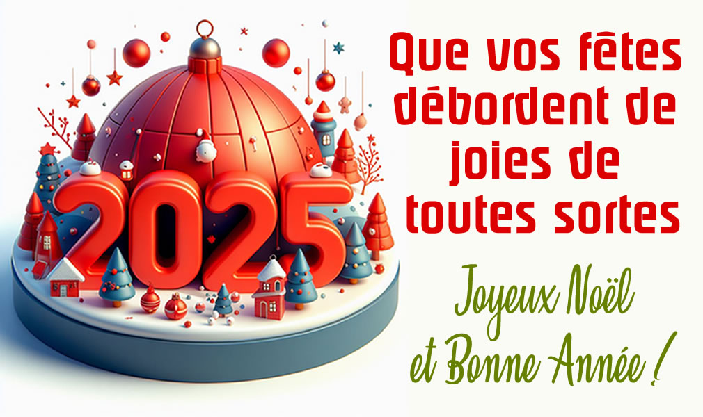 Noël magique : Que vos fêtes débordent de joies de toutes sortes