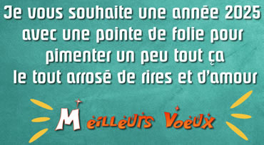 Image Bonne année avec une pointe de folie