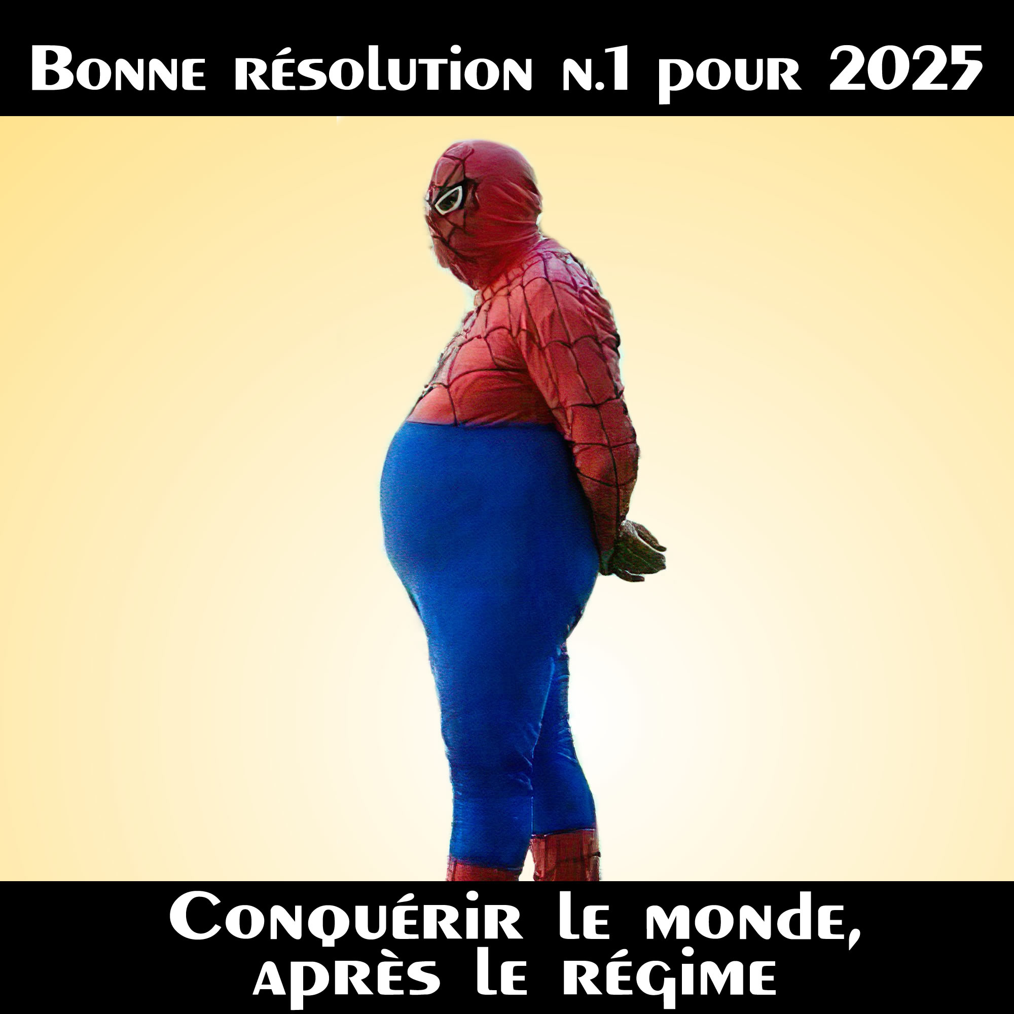 Image amusantes bonnes résolutions N.1 pour 2025