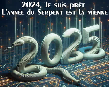 Cartes 2025 remplace 2024