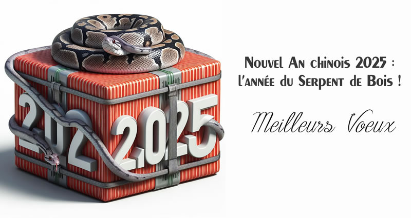 Nouvel An chinois 2025