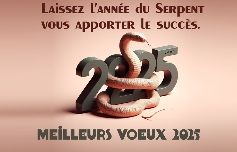 Image avec 2025 en 3D, Laissez l’année du serpent vous apporter le succès.
