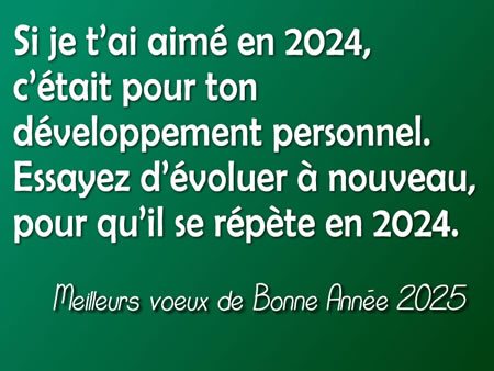 Cartes de voeux 2025 : Si je t’ai aimé en 2024