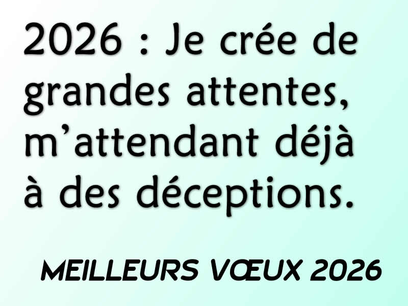 Image avec texte amusant 2026, Je crée de grandes attentes